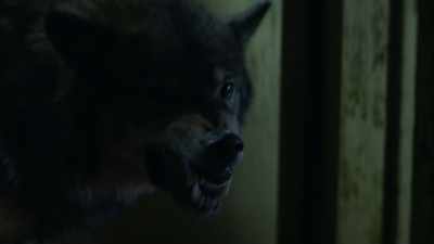 Posted in that doorway
like it's standing guard. - The Walking Dead: World Beyond
