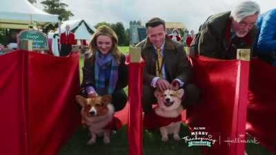 -[pot rattles]
-It's just that I have
done a little digging. - A Royal Corgi Christmas