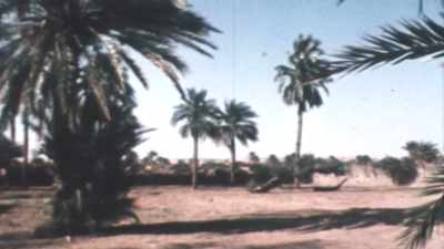 Potable water
had become scarce in Libya, - How to Become a Tyrant