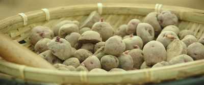 Potatoes are planted first in spring. - Little Forest