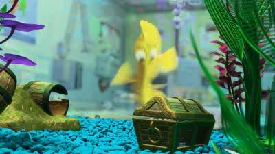 Potty break! - Finding Nemo