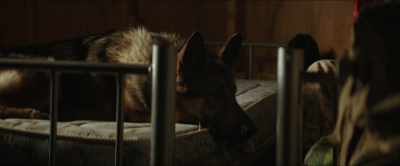 (POUNDING ON DOOR) - Megan Leavey