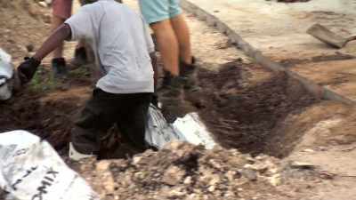 (power tool whirring) - Island of Bryan