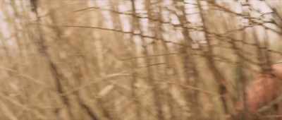 Powers of the Kings ruling are vanished at this place... - Rangasthalam