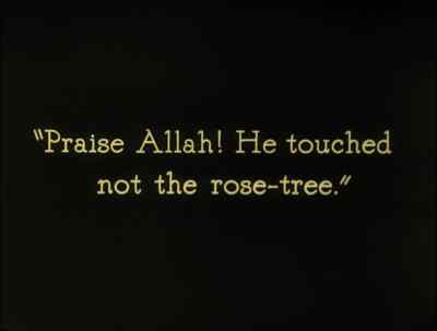 Praise Allah! He touched not the rose-tree. - The Thief of Bagdad