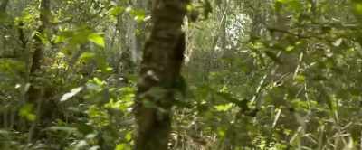 Prasad, I'm telling this
for your sake. - Thondimuthalum Driksakshiyum