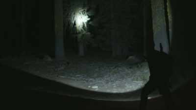 Predators like coyotes,
mountain lions, - Into the Unknown