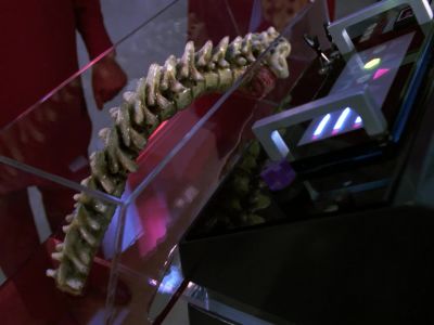 Preliminary genetronic scans
are complete. - Star Trek: The Next Generation