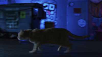 Prepare yourself for some disgusting,
frothing mongrels, munching on dead mice. - Cats & Dogs 3: Paws Unite