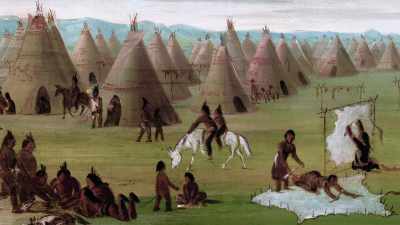Preparing a buffalo robe for
market took time and hard work, - The American Buffalo