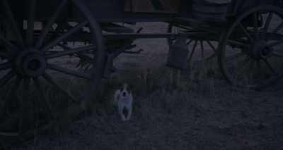-President Pierce?
-[yips] - The Ballad of Buster Scruggs