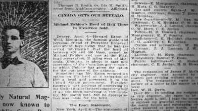 "President Roosevelt
may easily be imagined - The American Buffalo