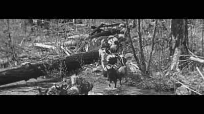 ‐ President Roosevelt
told the nation - The Titans That Built America