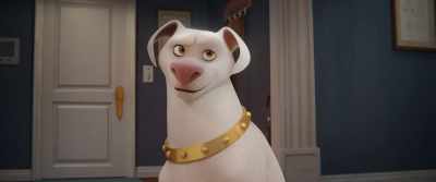 Pretty dressed up
for the British Bake Off. - DC League of Super Pets