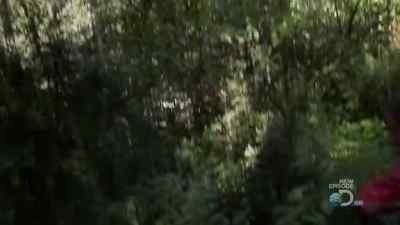 PRETTY SHARP. - Man vs. Wild