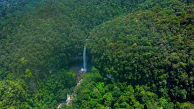 Preventing erosion
and retaining rainwater, - Our Great National Parks