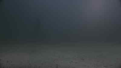 Previously ON Debris... - Debris