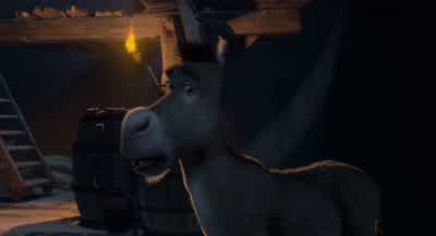 Princess, where are you? - Shrek