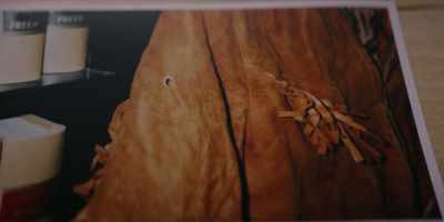 Prior to that time,
they were saying that
the blood on my jacket - The Murders at Starved Rock