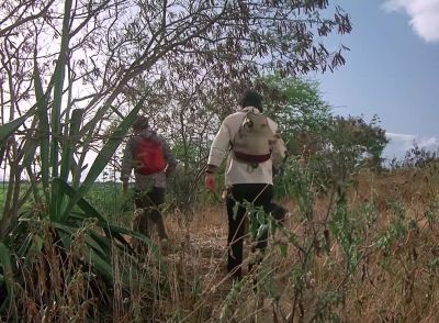 (Prisoner) lt's all downhill from here. - Magnum, P.I.