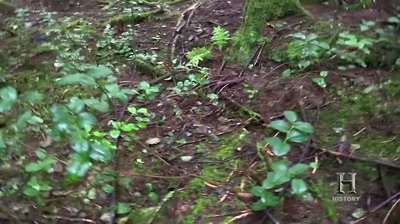 Probably about 30 yards away
from my camp here... - Alone