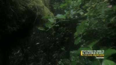 Probably about 30 yards away
from my camp here... - Alone