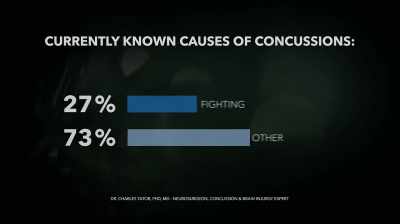Probably about 5%... - Ice Guardians