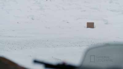 Probably gives a
better chance to get reindeer - Life Below Zero: First Alaskans