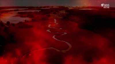 Probably, one group
hiding in the bushes - Curse of the Ancients with Alice Roberts