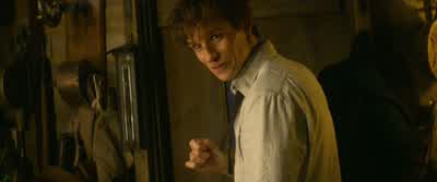 Probably shouldn't let him loose in here, though. - Fantastic Beasts and Where to Find Them