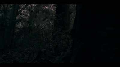 Probably went two steps
into the Lord's Inn - The Witcher