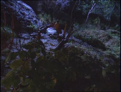 >> PROBST: Well, tomorrow, Lisi - Survivor