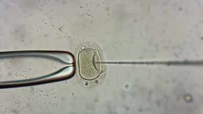 Producing embryos
that are then transferred back - Make People Better