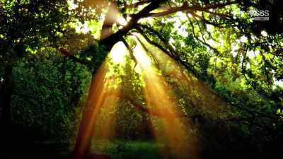 PROF. ALLABY: I think, culturally, - Curse of the Ancients with Alice Roberts