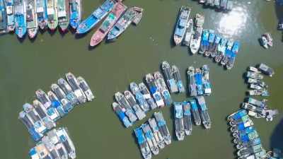 [Prof. Mitchell]
Big trawler ships came
in with advanced sonar, - Mysteries of the Abandoned