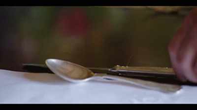 Professional butlers and chefs prepare meals - The History of Home Narrated by Nick Offerman