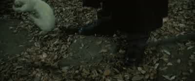 - Professor Moody! - Harry Potter and the Goblet of Fire