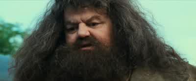 ...Professor Quirrell couldn't bear to have you touch him? - Harry Potter and the Philosopher's Stone