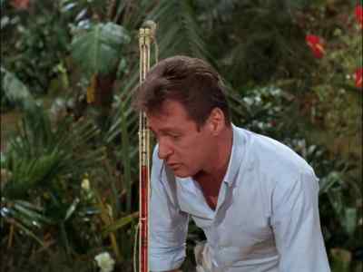 Professor: THERE WILL BE
A NOTICEABLE RISE - Gilligan's Island
