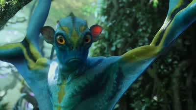 Prolemuris. - Avatar