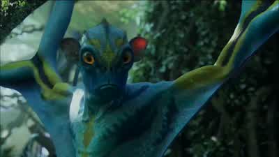 Prolemurs. - Avatar