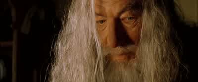 ...prolonging his life, delaying old age. - The Lord of the Rings: The Fellowship of the Ring