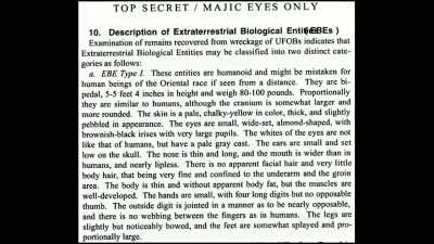 Proportionally, they
are similar to humans, - Truth Hunter
