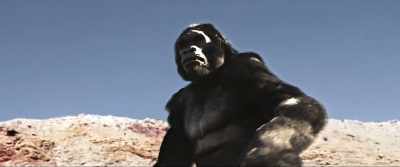 Protect!
Protect armor! - Ape X Mecha Ape: New World Order