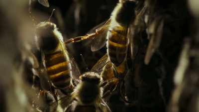 protected by 20,000 dedicated workers. - Super/Natural