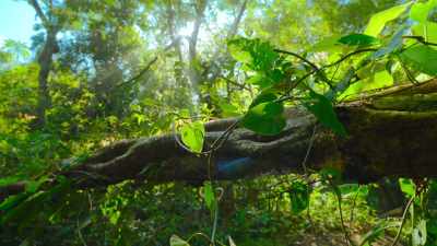 Protecting yourself is not
always about how well you fight, - The Secret Lives of Animals
