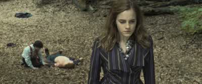 Protego Totalum. Salvio Hexia. What are you doing? - Harry Potter and the Deathly Hallows: Part 1