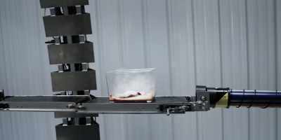 Protein breakdown, quantum
coherence breakdown. - Intersect