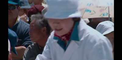 [protester] Stop the
Renault/Nissan conspiracy! - Fugitive: The Curious Case of Carlos Ghosn