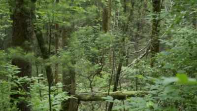 pruitt-yelling - Strange Evidence